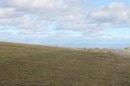 Plateau de Gergovie